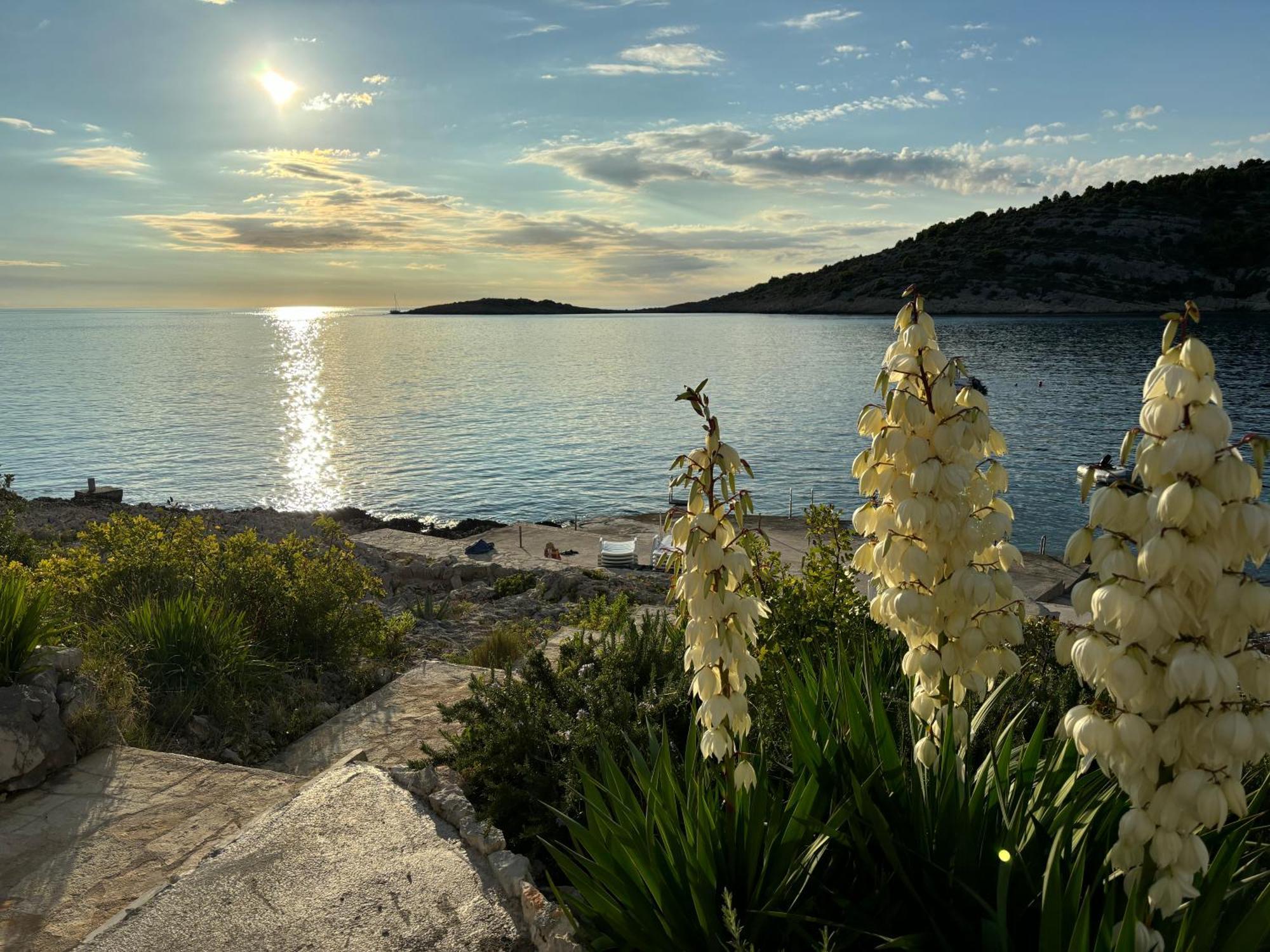 Direkt Am Meer-Apartments Puntaplanka Rogoznica  Luaran gambar
